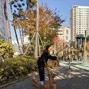 김포 독감주사가격싼곳 보배한방병원