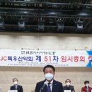 애니피그 이미지