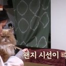 일진민박 이미지