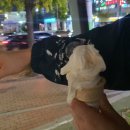 소와돼지방