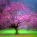 꽃이있는풍경 이미지