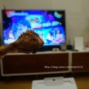 굽네치킨 송도점 이미지