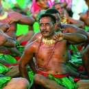 사모아참치