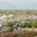 오토캠핑장 이미지