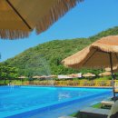 오림피아 수영장 | [장흥 취사가능 수영장]서울인근 오림피아 수영장♡ 23년 개장후기