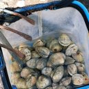 중구 누리길(제1코스) | 소무의도 주차, 트레킹 코스 총정리 무의바다누리길 명사의 해변