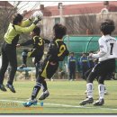 백석초 이미지