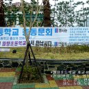 원량초등학교 이미지