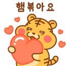 미소야작전오렌지점