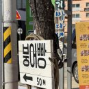 속초붕어당