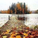 시골개 새참 이미지