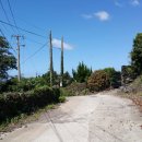 옥희농장 이미지