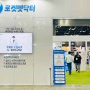 닥터k동물병원 네이버블로그
