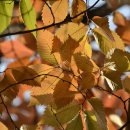 왕십리역(2) 이미지