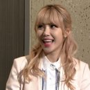 돼지우리 이미지