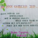 우면산6-13 이미지