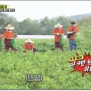 중산농장 네이버블로그