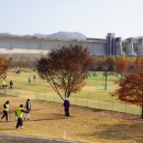 파크골프장 이미지