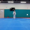 위너태권스쿨 이미지