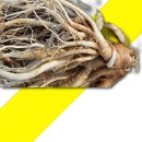 고씨네 농장 이미지