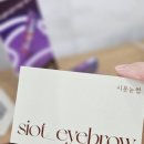 시옷눈썹
