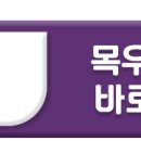 복실이네 애견 이미지