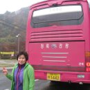 월내초등학교 이미지