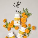 e비전케어 이미지