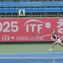 대한국제투어