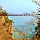 "장가계도 이 정도는 아냐"... 600m 절벽 위, 설경 즐기는 무료 출렁다리 이미지