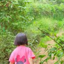 신상근린공원 이미지