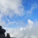 공존(共存) 이미지