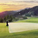 오로라월드(주) 이미지