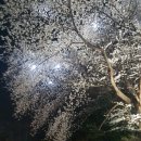 (주)현대관광렌트카 이미지