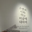 새활용 현대미술 | [서울 전시 추천] 국립현대미술관 서울 - ‘소멸의 시학 : 삭는 미술에 대하여’ 후기