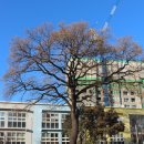 제1코스 이미지