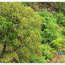 나무랑숲 이미지