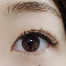 유니엘 | [춘천 유니엘 뷰티] 지속력 갑속눈썹 연장 후기