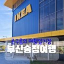 스타벅스 동부산테마파크 | 4인방 부산여름송정여행 ㅣ 우정여행이케아송정바다