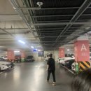 펫밀리즈 이미지