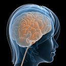 조선대학교 보건대학원 이미지