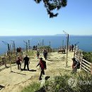 낙동강관리본부 대저생태공원 3 이미지