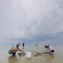 해송민박 이미지