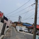 신동-81 이미지