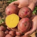 농업회사법인(주)늘해랑