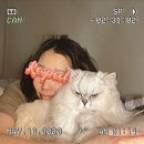 셀프피어싱 | 얼굴 피어싱에 미친자 헤헤 그게 바로 접니다. (셀프피어싱 후기도 있음ㅋ)