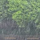 지혜의 소나기 이미지