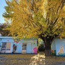 수양동 주민센터 이미지