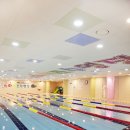 스타키즈 수영장 이미지