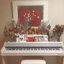 피다(Pida) 이미지